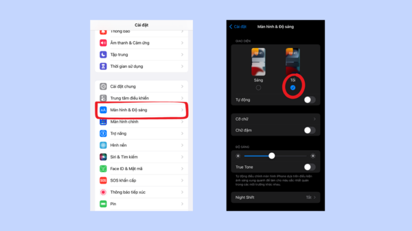 Ngay lập tức, màn hình iPhone của sẽ được phủ bởi bảng màu tối
